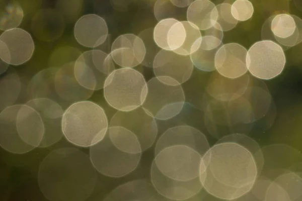 Doğal Yeşil Arkaplanı Olan Işık Kürelerinin Bulanık Görüntüsü — Stok fotoğraf
