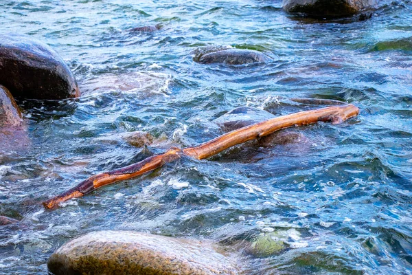 Primer Plano Palo Madera Río Con Algunas Rocas Piedras Agua —  Fotos de Stock