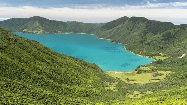Belo Lago Azul Cercado Por Montanhas Verdes Nova Zelândia — Fotografia de Stock