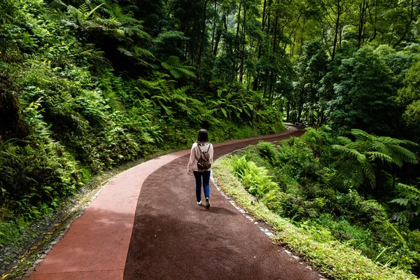 Une Femme Promène Dans Parc Naturel — Photo