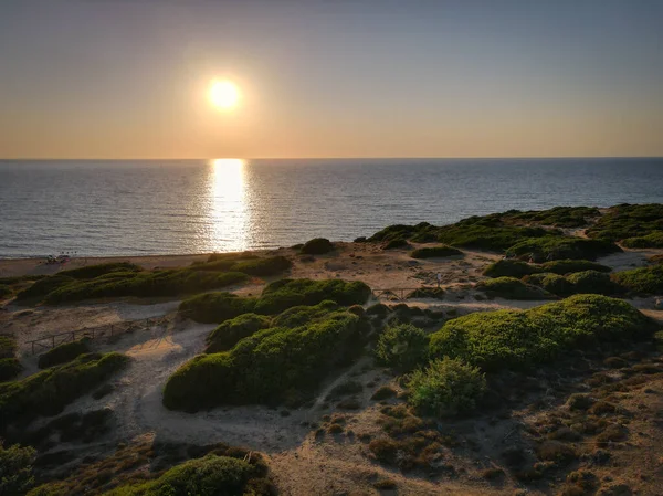Прекрасний Знімок Пейзажу Заходу Сонця Зеленню Березі Моря — стокове фото