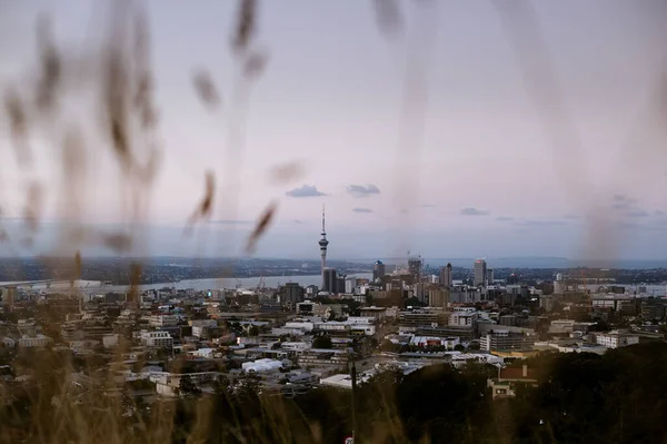 Eine Faszinierende Aufnahme Einer Atemberaubenden Aussicht Auckland Neuseeland — Stockfoto