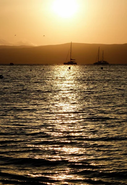 Plan Vertical Bateaux Sur Plage Paracas Pérou Coucher Soleil — Photo