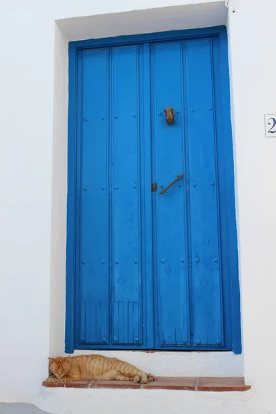 Primer Plano Gato Adorable Estirado Durmiendo Cerca Una Puerta Madera — Foto de Stock