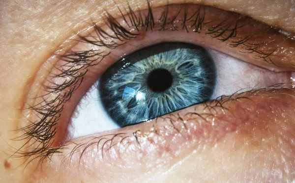青の魅惑的な色合いを持つ人の目のクローズアップショット — ストック写真