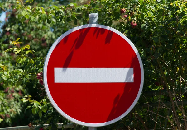 Közelkép Egy Piros Stop Tábláról Vegetációval Háttérben — Stock Fotó