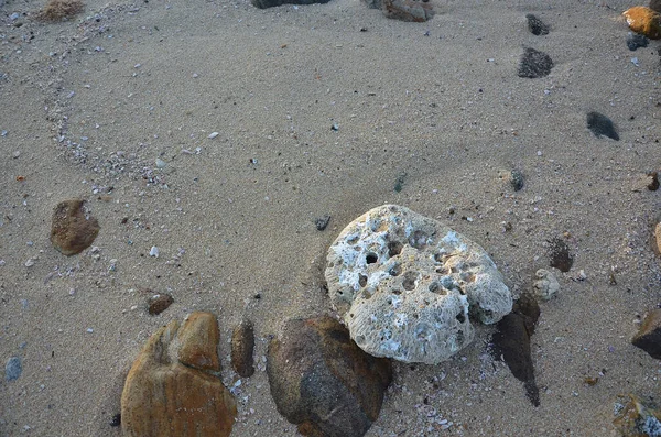 Tiro Ângulo Alto Diferentes Rochas Praia — Fotografia de Stock