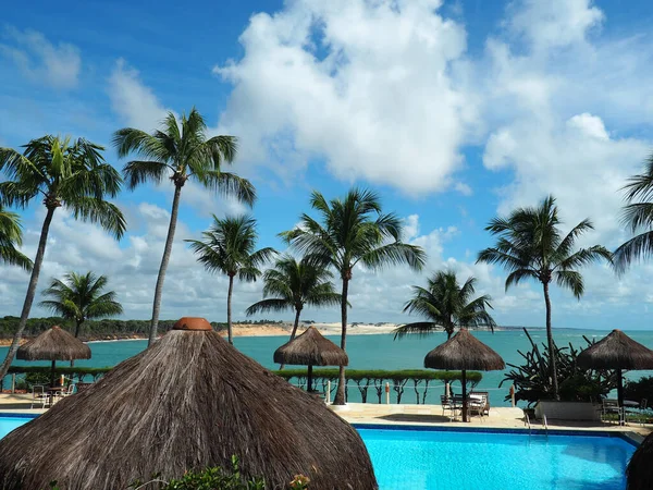 Een Hoge Hoek Opname Van Een Strand Vakantieoord Met Palmbomen — Stockfoto
