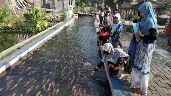 Yogyakarta Indonesia Července 2020 Bendung Lepen Nová Turistická Atrakce Pro — Stock fotografie