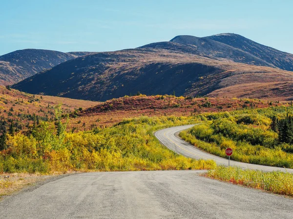 Naturskön Bild Väg Med Gräs Varje Sida Och Berg Bakgrunden — Stockfoto