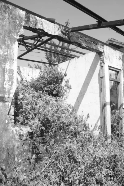 Uma Imagem Vertical Tons Cinza Edifício Ruínas Coberto Vegetação — Fotografia de Stock