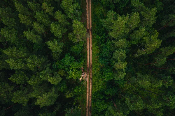 Tiro Aéreo Uma Longa Estrada Cercada Por Árvores Verdes — Fotografia de Stock