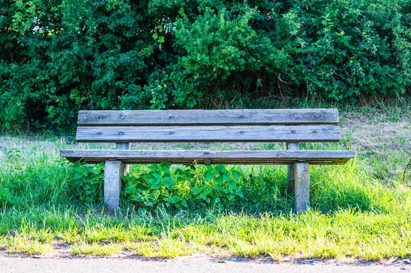 Gammal Träbänk Park Med Grönt Runt Den — Stockfoto