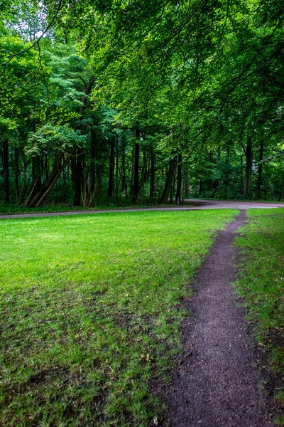 Eine Vertikale Aufnahme Eines Weges Einem Grünen Park Sonnenlicht — Stockfoto