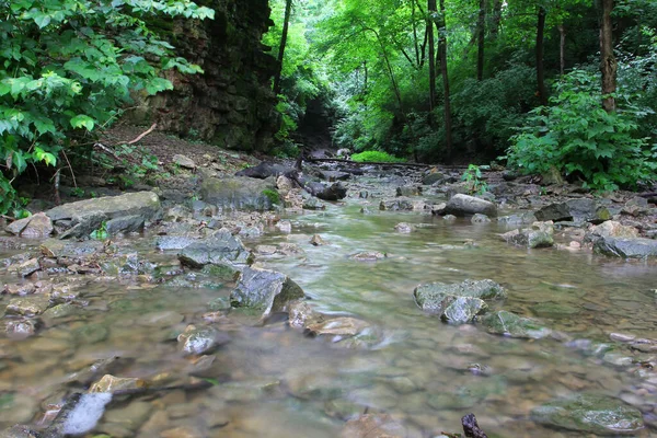 Zbliżenie Ujęcia Bieżącego Strumienia Wody Lesie Ciągu Dnia — Zdjęcie stockowe