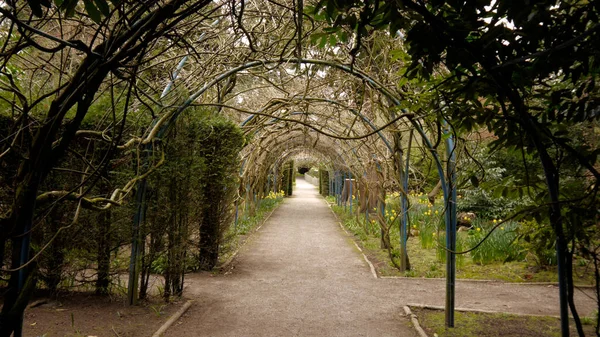 Paisaje Soleado Hermoso Arco Del Parque —  Fotos de Stock