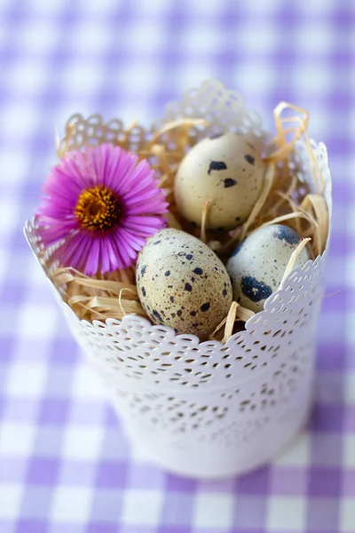 Ένα Κάθετο Πλάνο Από Αυγά Ορτυκιού Και Ένα Μωβ Λουλούδι — Φωτογραφία Αρχείου