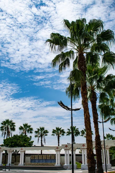 Ein Vertikaler Tiefpunkt Mit Palmen Vor Dem Blauen Wolkenverhangenen Himmel — Stockfoto