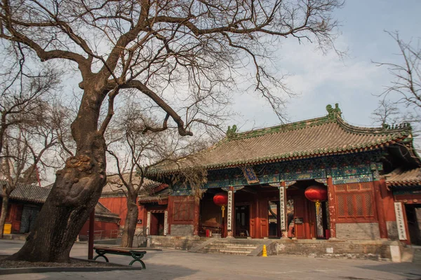 Hall Principal Temple Taoïste Dongyue Côté Vieil Arbre Pékin Chine — Photo