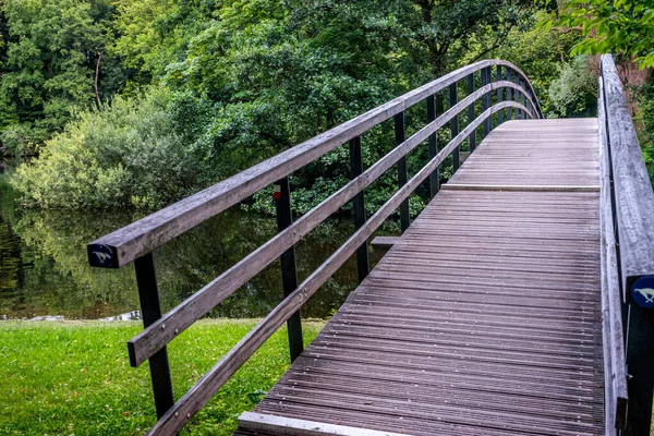 stock image A bridge over a small river in a park covered in greenery at daytime