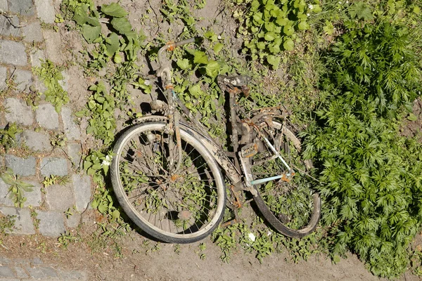 Ein Altes Rostiges Metallfahrrad Einem Garten Aus Der Vogelperspektive — Stockfoto