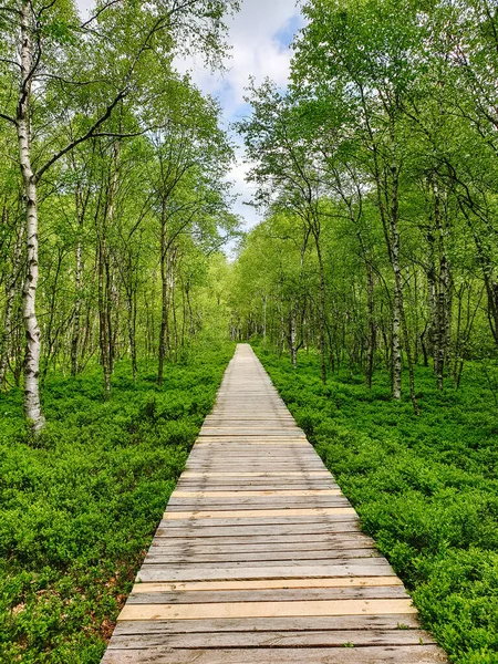 Vertikal Bild Trä Trottoar Naturen — Stockfoto