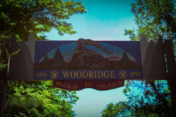 Woodridge Estados Unidos Junio 2020 Woodridge Estados Unidos 2020 Woodridge —  Fotos de Stock