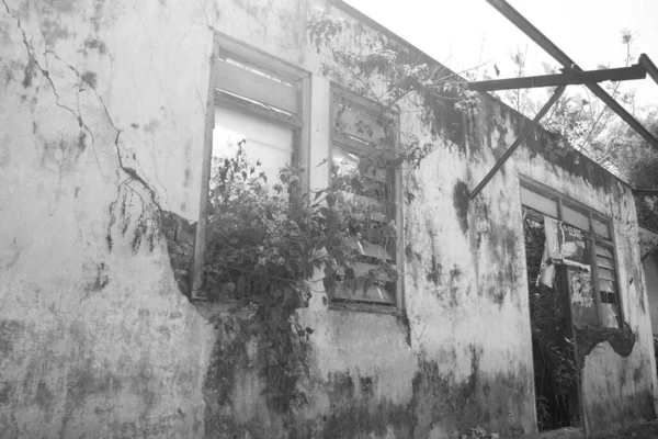 Uma Imagem Tons Cinza Edifício Abandonado Coberto Vegetação — Fotografia de Stock