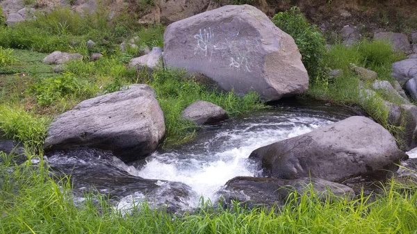 Primer Plano Arroyo Salvaje Que Fluye Rodeado Piedras Hierba Cerca —  Fotos de Stock