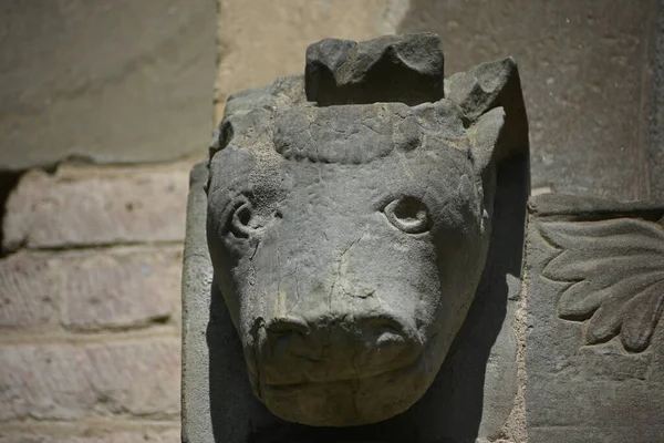 Primer Plano Una Escultura Animal Pared Abadía Vezollano Italia —  Fotos de Stock
