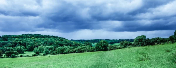 Krásný Panoramatický Záběr Stromů Oblohou Pozadí — Stock fotografie