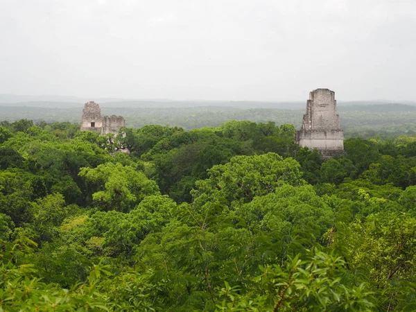 Een Luchtfoto Van Tikal Guatemala — Stockfoto