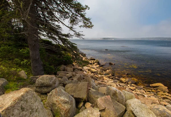 Closeup Rocks Surrounded Greenery Sea Cloudy Sky Daytime — Stock Photo, Image