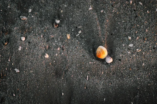 Текстура Черного Песка Раковиной Внутри — стоковое фото