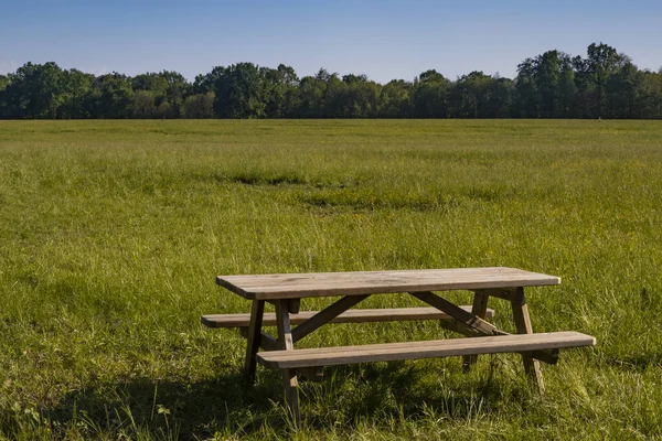 Een Houten Tafel Stoelen Een Groene Weide — Stockfoto