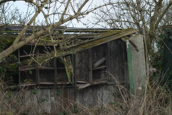 Old Abandoned Wooden Shed Forest — Stock Photo, Image