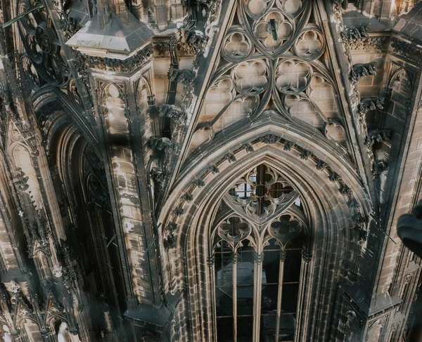 Eine Nahaufnahme Der Schönen Domplatte Köln Deutschland — Stockfoto