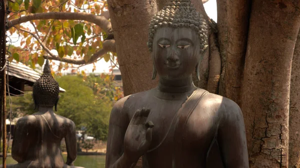 Nahaufnahme Einer Buddha Statue Freien Sri Lanka — Stockfoto