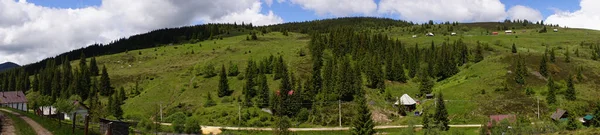 Tiro Panorâmico Uma Bela Floresta — Fotografia de Stock