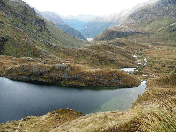 Paisagem Mount Aspiring National Park Nova Zelândia Com Árvores Riacho — Fotografia de Stock