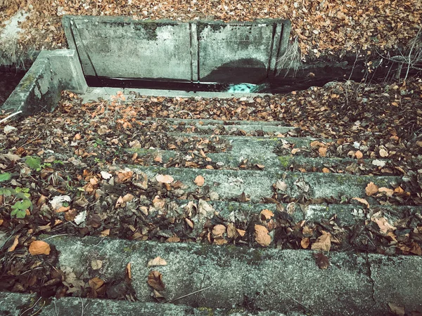 Herbstblätter Fallen Auf Stein Obergeschoss Und Wenig Grabenwasser Direkt Davor — Stockfoto