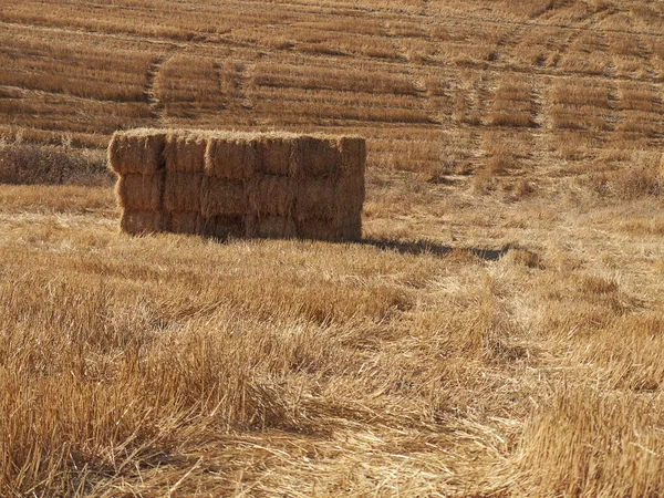 Uma Quinta Agrícola Capturada Num Dia Ensolarado — Fotografia de Stock