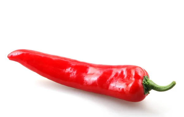 Red Hot Chilli Pepper Isolated White Background Royalty Free Stock Photos