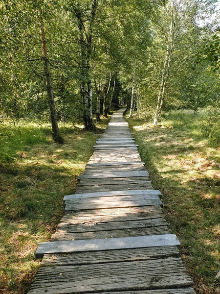 Una Uscita Dalle Assi Legno Nella Brughiera Nera Del Rodano — Foto Stock