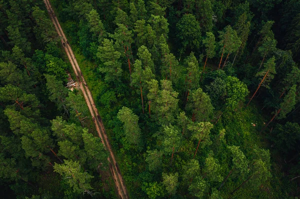Воздушный Снимок Длинной Дороги Окруженной Деревьями Зеленью — стоковое фото