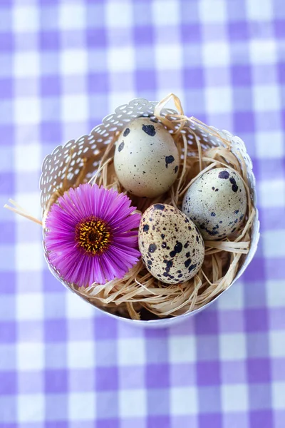 Ένα Κάθετο Πλάνο Των Αυγών Ορτύκι Ένα Μωβ Λουλούδι Ένα — Φωτογραφία Αρχείου