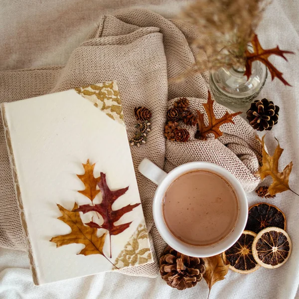 Top View Cup Hot Chocolate Table Covered Tablecloths Dry Leaves — Stock Photo, Image