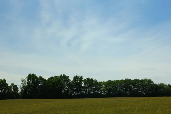 Eine Schöne Aufnahme Einer Grünen Wiese Mit Bäumen Und Blauem — Stockfoto