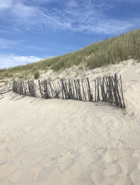 Tiro Vertical Una Cerca Madera Una Playa Con Hierbas Fondo — Foto de Stock