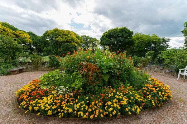 Hermoso Tiro Flores Centro Parque Sobre Fondo Nublado Día — Foto de Stock